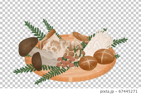 秋の味覚、きのこ狩りで収穫したきのこのイラスト 67445271