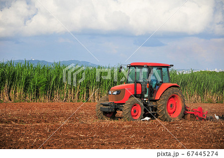 八重山諸島小浜島のサトウキビ畑 67445274