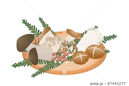 秋の味覚 きのこ狩りで収穫したきのこのイラスト ベクターイラストのイラスト素材