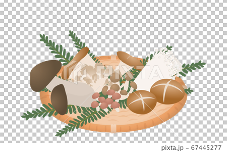 秋の味覚、きのこ狩りで収穫したきのこのイラスト.ベクターイラスト 67445277
