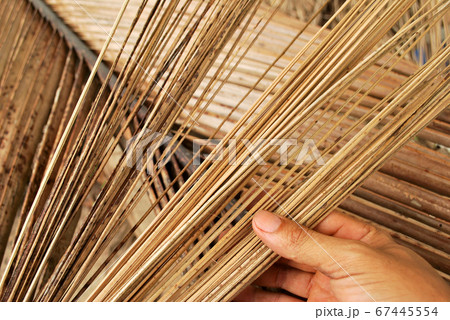 Dried coconut leaves. 67445554