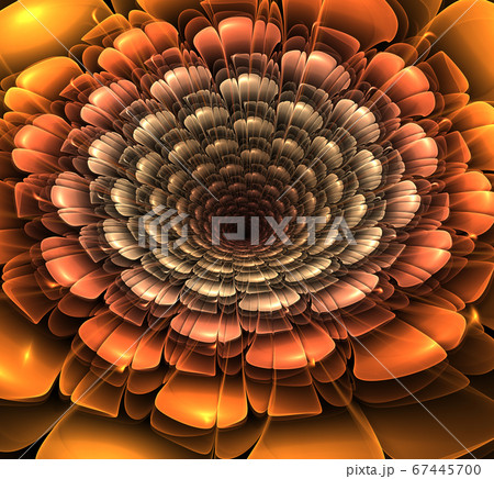 Fractal Flowers Fantasy 67445700