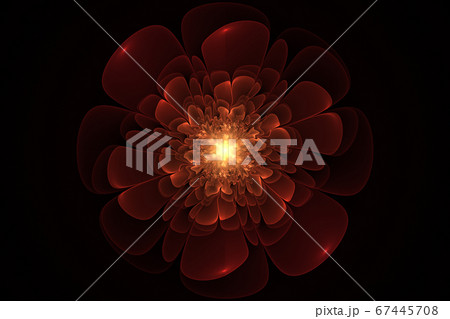Fractal Flowers Fantasy Fractal Flowers Fantasy 67445708