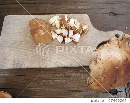 Boletus edulis - edible mushroom 67446265