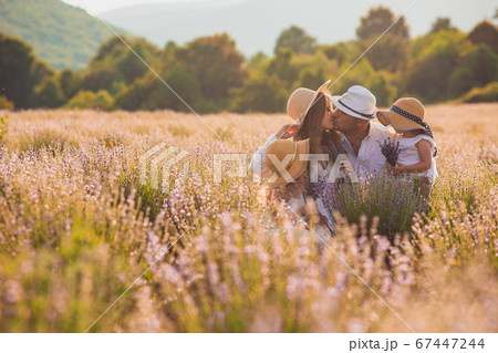 The beautiful lavender flowers fill your soul with love 67447244