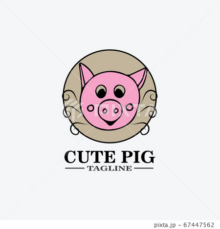 Cartoon pig Design illustration 67447562