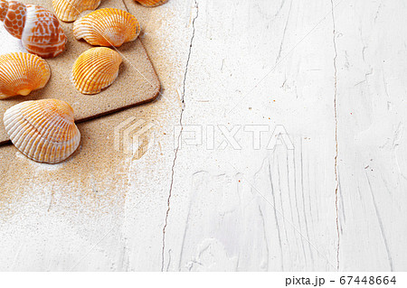 Clipboard with sea shells on wooden table close up, copy space Clipboard with sea shells on wooden table close up, copy space 67448664