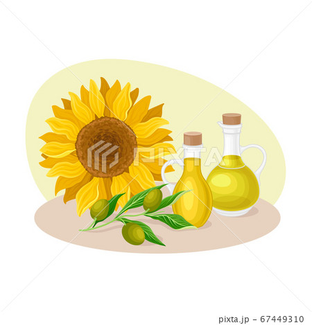 Sunflower with Olives and Glass Oil Jars Vector Composition 67449310