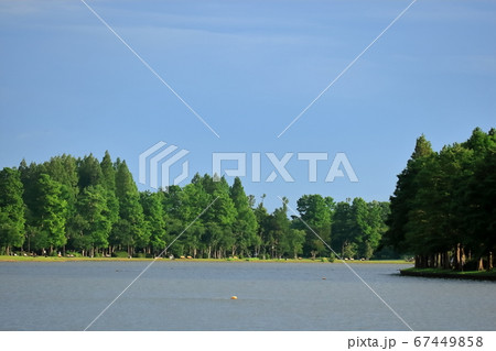 水元公園の風景 67449858