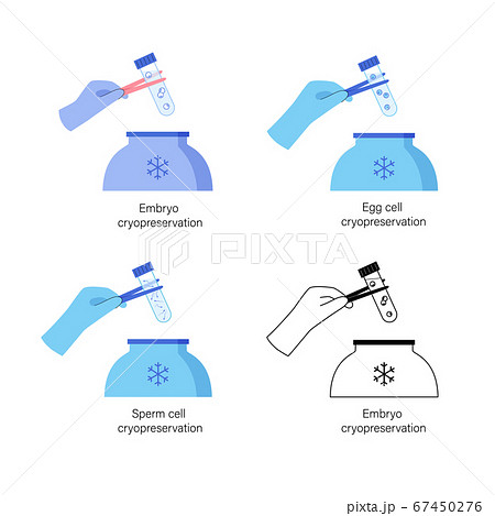 Reproductive system concept Reproductive system concept 67450276