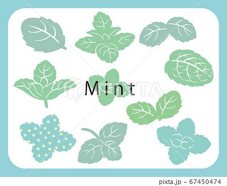 ミントのアイコン・イラスト・セット。ベクター画像 67450474