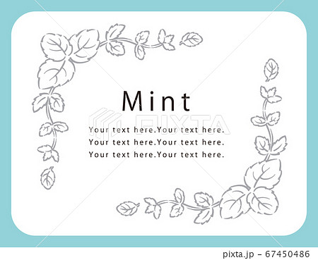 フレームなどに使えるミントのイラスト。ベクター画像。 フレームなどに使えるミントのイラスト。ベクター画像。 67450486