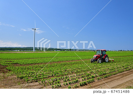 北海道江差町でトラクターで大豆畑の除草作業する夏の風景を撮影 北海道江差町でトラクターで大豆畑の除草作業する夏の風景を撮影 67451486