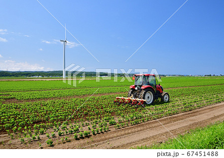 北海道江差町でトラクターで大豆畑の除草作業する夏の風景を撮影 北海道江差町でトラクターで大豆畑の除草作業する夏の風景を撮影 67451488