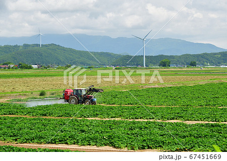 北海道江差町でカボチャ畑の防除作業をする夏の風景を撮影 67451669