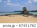 夏 対馬 ビーチ 67451762
