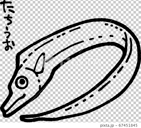 太刀魚の線画イラスト 太刀魚の線画イラスト 67451845