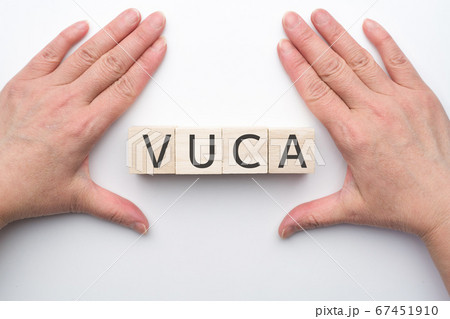 イメージ　VUCA 67451910