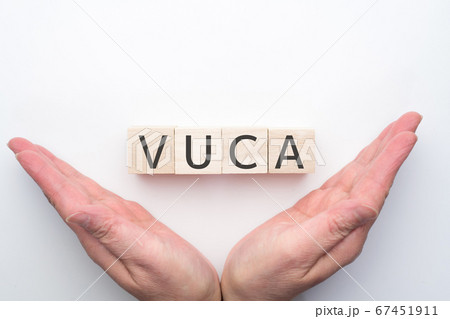 イメージ　VUCA 67451911