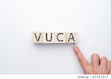 イメージ　VUCA 67451917