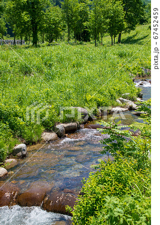 新緑の風景 土樽自然公園 新潟県湯沢町 の写真素材