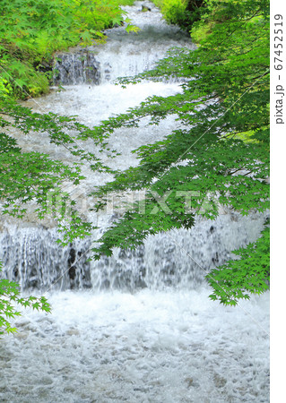 夏の牛伏川階段工 青葉と涼風 夏の牛伏川階段工 青葉と涼風 67452519