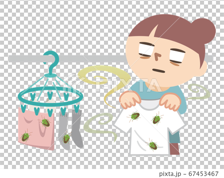 洗濯物に付いたカメムシにショックを受けた主婦 67453467