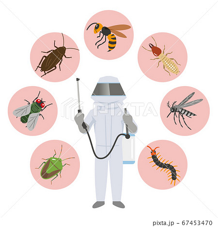 防護服の害虫駆除業者と害虫のイラストレーション 67453470