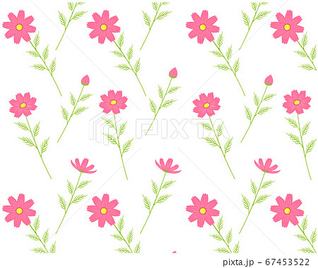 コスモスの花柄のシームレスパターン カラフルな花びらの背景画像 のイラスト素材 67453522 Pixta