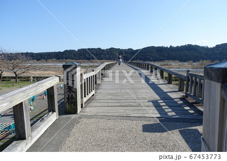蓬莱橋 静岡県島田市 蓬莱橋 静岡県島田市 67453773