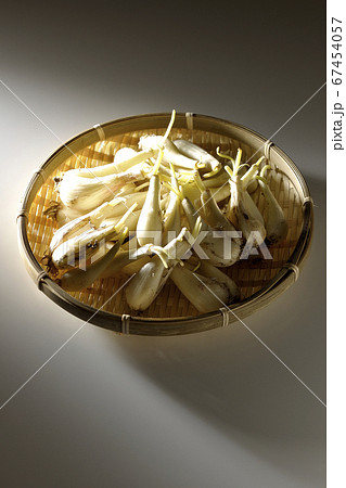 スポットライトがあたる笊の中の泥つきラッキョウ（白背景） 67454057