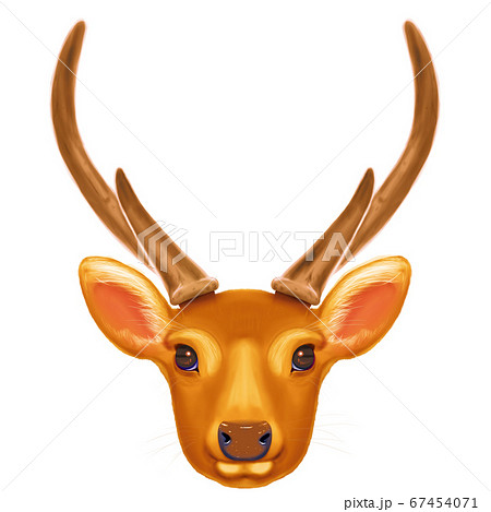 もふもふな鹿 印刷しても綺麗 のイラスト素材