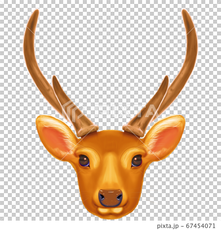 もふもふな鹿 印刷しても綺麗 のイラスト素材