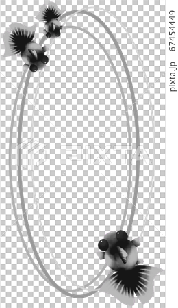 Vertical frame of gray goldfish (gray) Vertical frame of gray goldfish (gray) 67454449