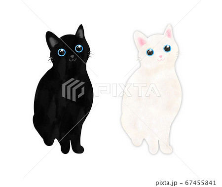 黒猫と白猫のイラスト素材