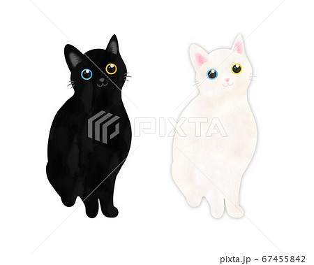 黒猫と白猫のイラスト素材
