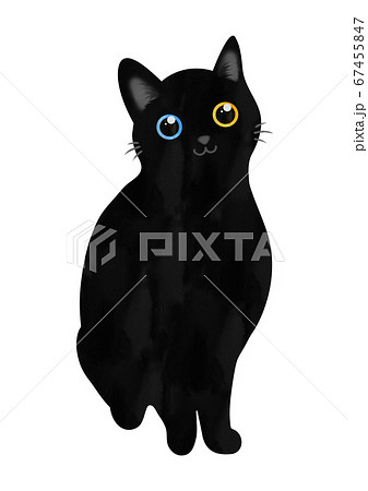 黒猫のイラスト素材 [67455847] - PIXTA
