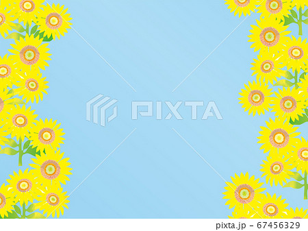 元気な夏の向日葵の背景イラストのイラスト素材