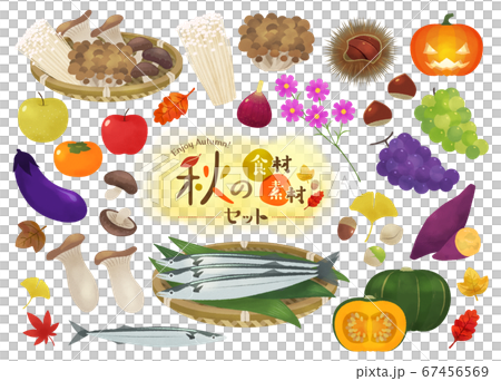 秋の食材 素材イラストのイラスト素材