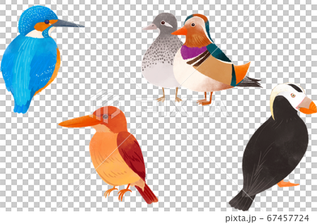 可愛い鳥たち1のイラスト素材