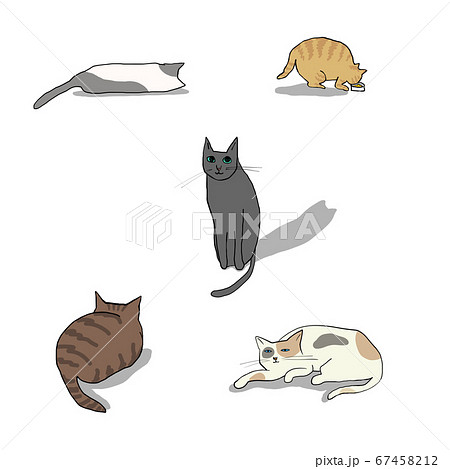 色々なポーズの5匹の猫のイラスト素材