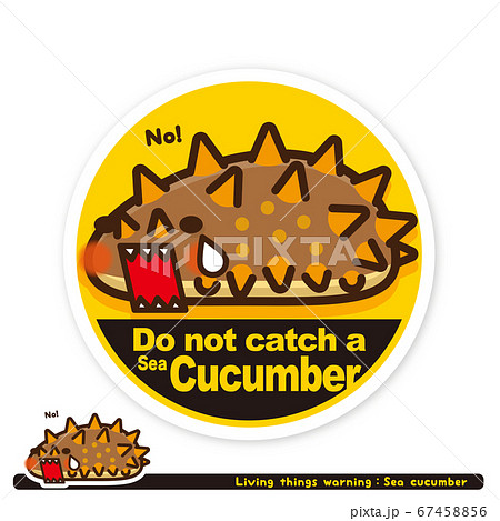 いきもの注意報：ナマコ密漁禁止サイン（英語） 67458856