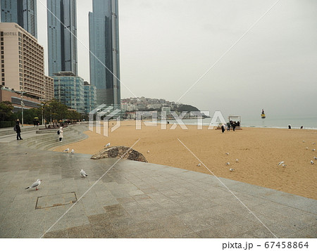 海雲台 曇りの浜辺 釜山 海雲台 曇りの浜辺 釜山 67458864