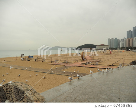 海雲台 曇りの浜辺 釜山 海雲台 曇りの浜辺 釜山 67458865