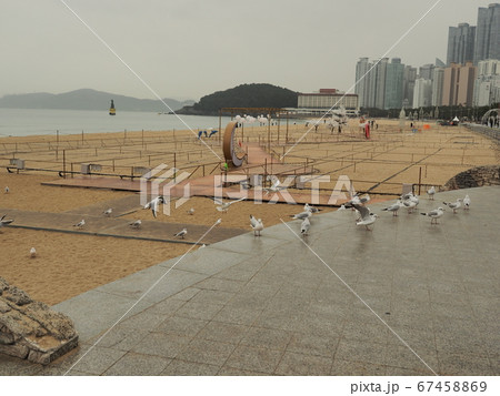 海雲台 曇りの浜辺 釜山 海雲台 曇りの浜辺 釜山 67458869