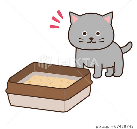 トイレを見つけるグレー色の猫 トイレを見つけるグレー色の猫 67459745