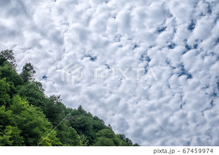Dense textured clouds over the green forest 67459974