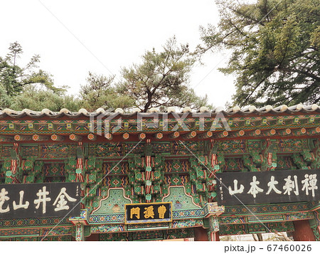 梵魚寺 ポモサ 梵魚寺 ポモサ 67460026