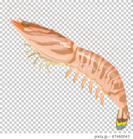 大蝦 大蝦 67460043