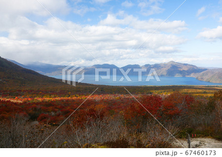 北海道　秋　千歳市　樽前山から支笏湖を望む　紅葉 67460173